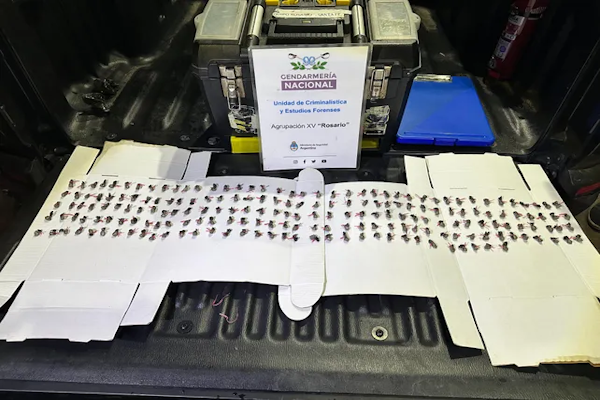 Gendarmería ejecutó 20 allanamientos simultáneos por balaceras y extorsiones