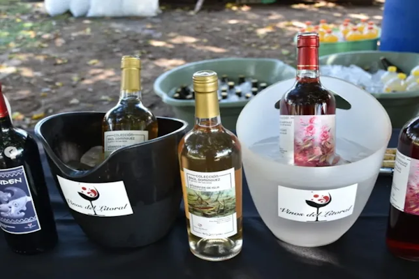 La vitivinicultura santafesina crece de la mano de 25 productores 