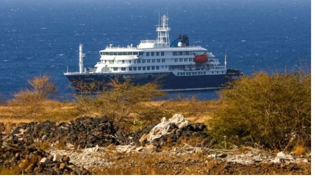 La OMS declaró el fin del brote de hantavirus vinculado al crucero que partió de la Argentina