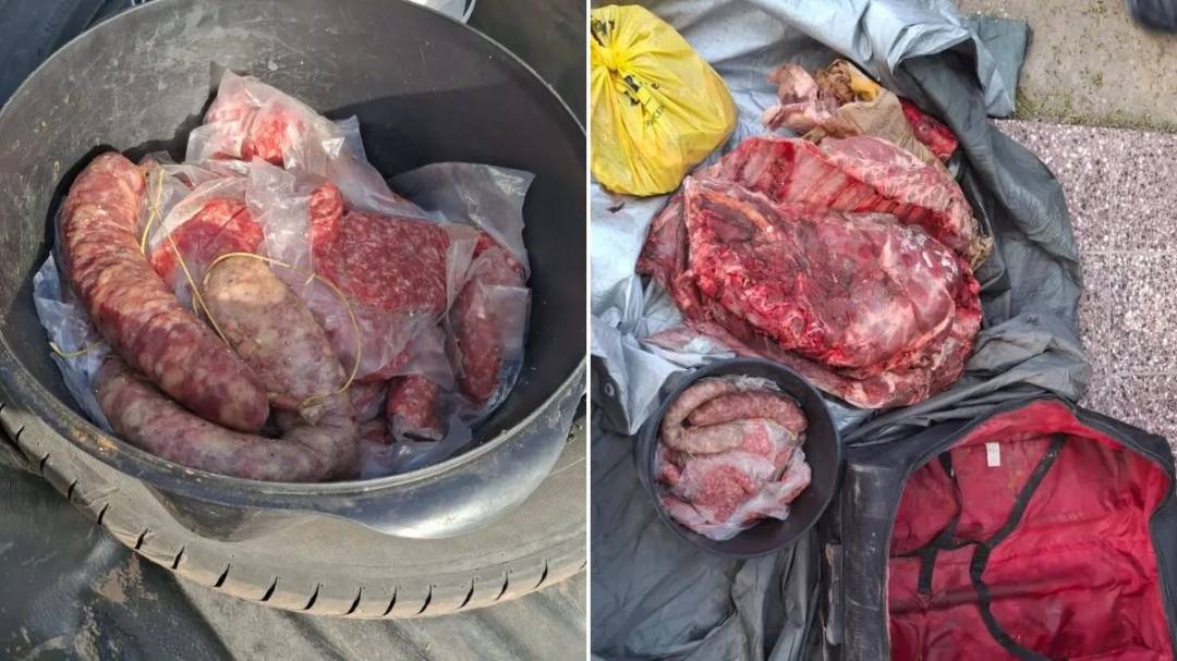Recuperaron parte de la carne robada en una carnicería sobre la Ruta Uno