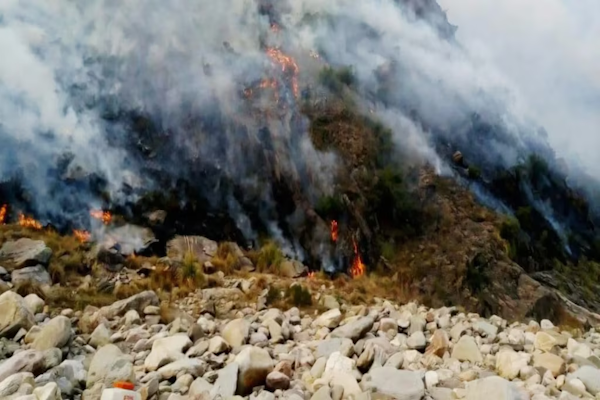 Incendio en las sierras de San Luis