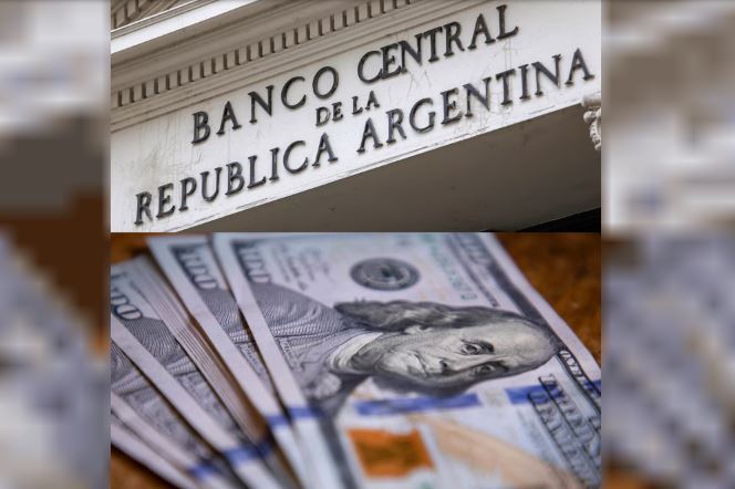 El Banco Central habilitó el pago de sueldos en dólares