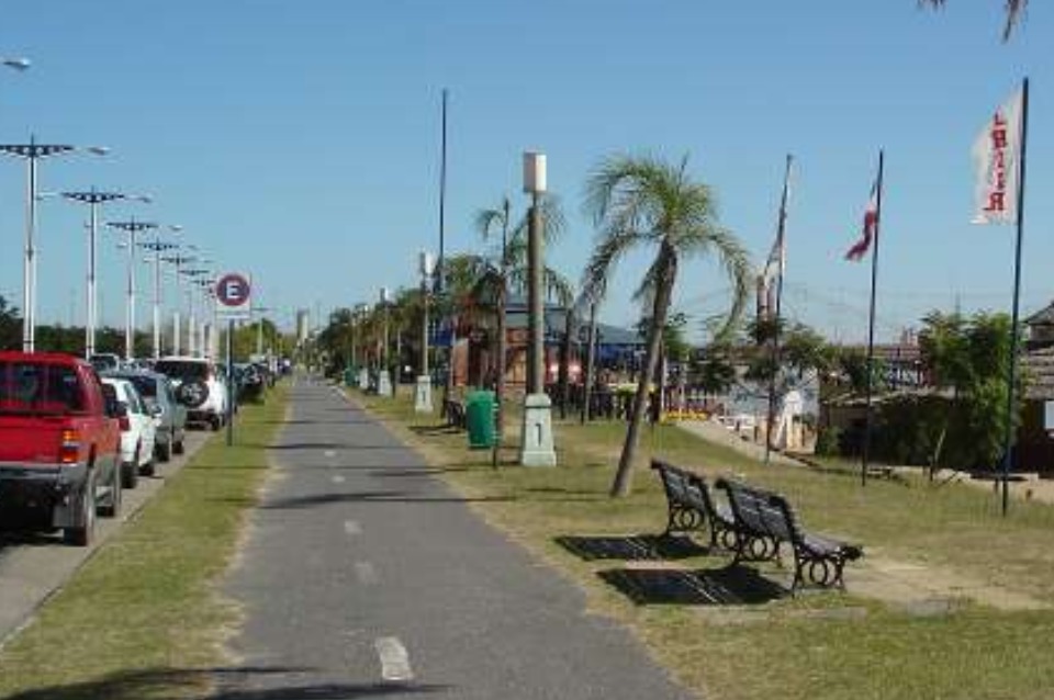 Buscan crear una nueva reserva natural en Costanera Este