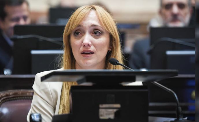 Fernández Sagasti presentó un proyecto para que senadoras embarazadas puedan votar virtualmente