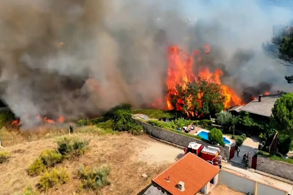 Incendios forestales: España perdió más de 240.000 hectáreas