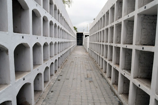 Cementerio Municipal: retiraron por error los restos de un hombre