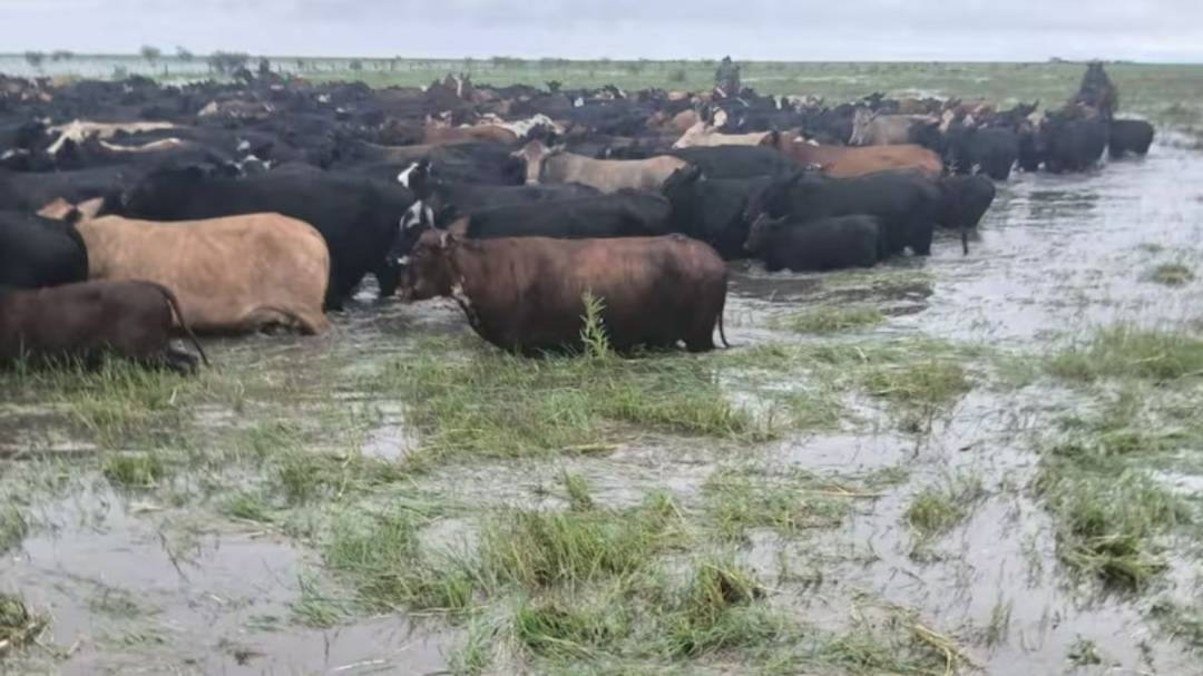 Aseguran que las pérdidas en el sector productivo por las lluvias serán incalculables
