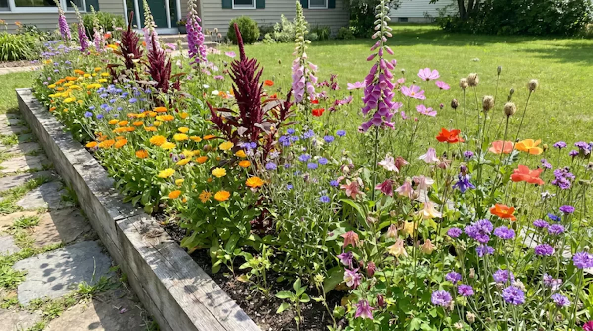 Plantas y flores que se pueden sembrar para renovar el jardín